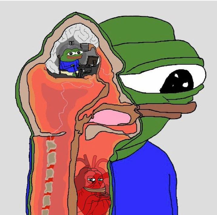 ANATOMY OF MARV