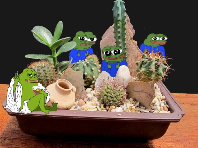 GARDEN MARV