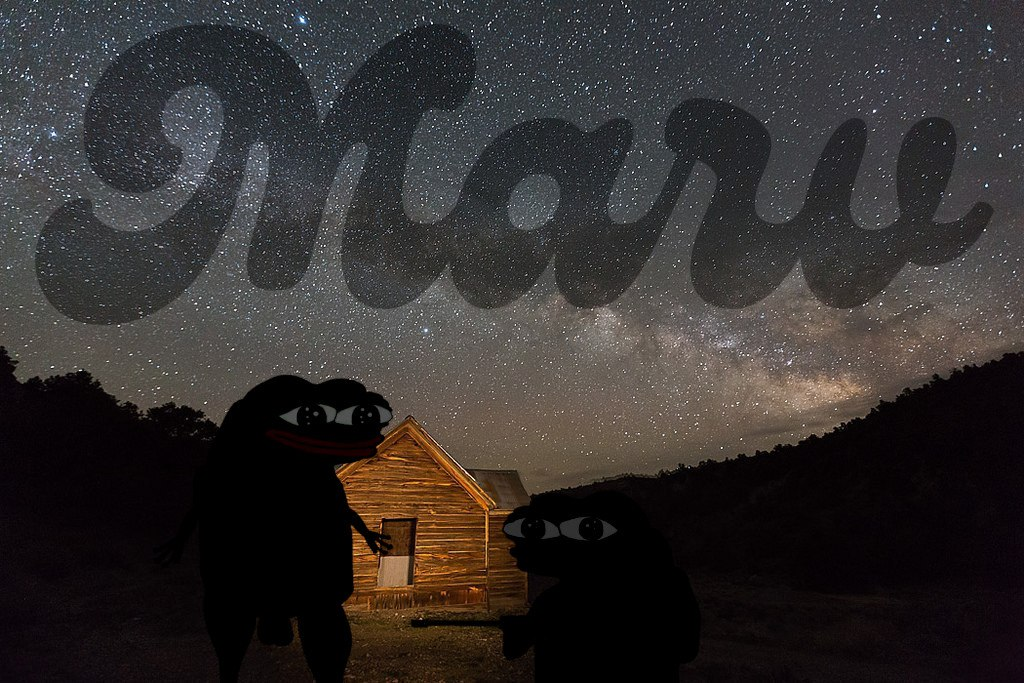 STONKS STARS MARV